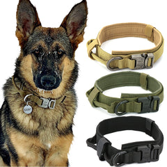 Dog Collar